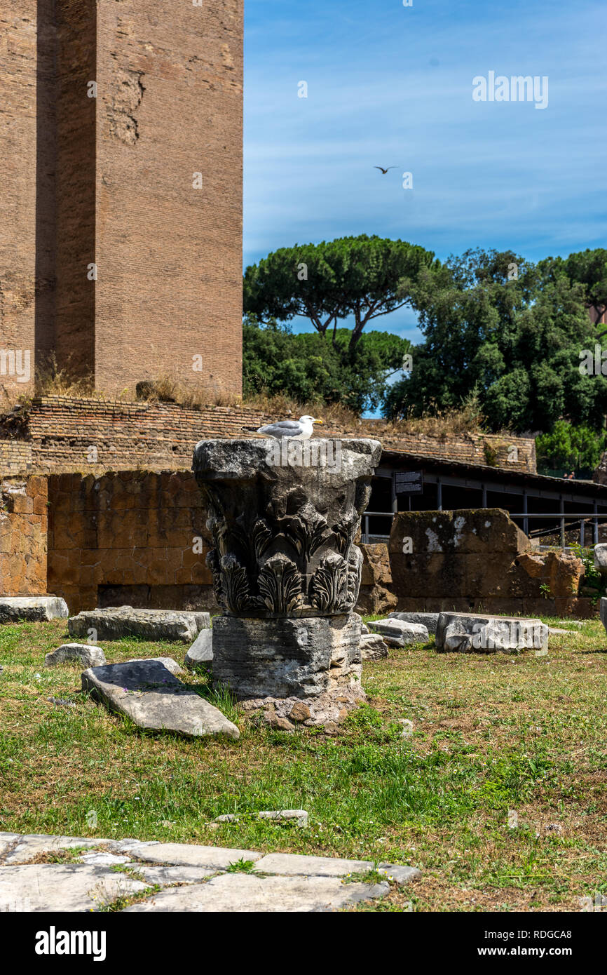 Europe, Italy, Rome, Roman Forum, a clock tower in front of a brick ...