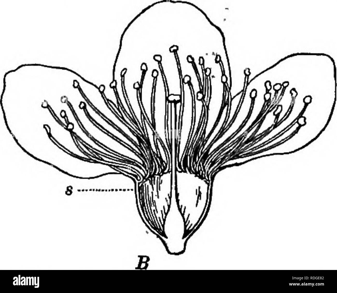 Indian silk thread Black and White Stock Photos & Images Alamy
