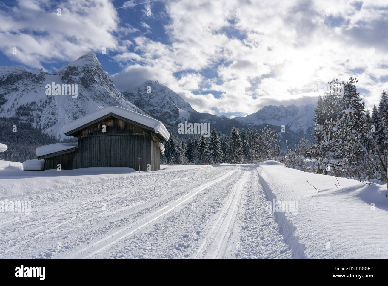 Winter mountain landscape with groomed ski track and snow covered trees along the road, Ehrwald, Tirol, Alps, Austria. Sunny winter day. Stock Photo