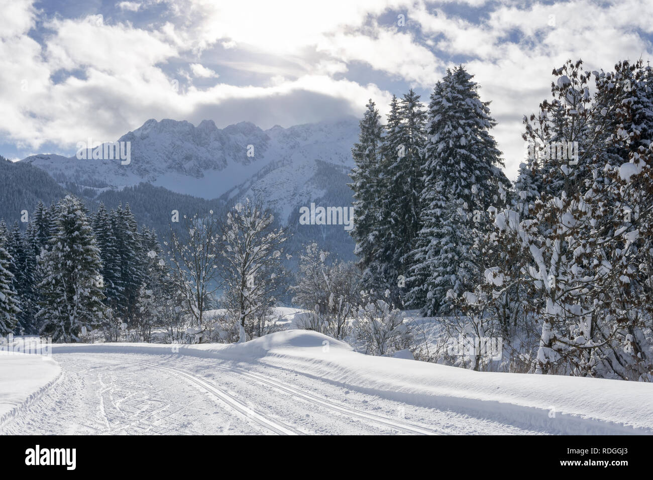 Winter mountain landscape with groomed ski track and snow covered trees along the trail, Ehrwald, Tirol, Alps, Austria. Sunny winter day. Stock Photo