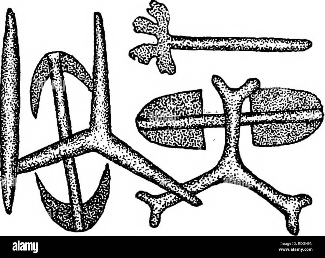 . A textbook in general zoology. Zoology. SPONGES 39 which these canals