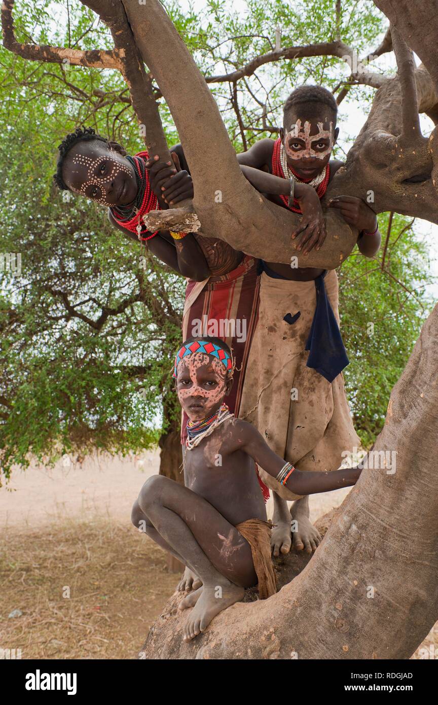 Three Karo children with facial paintings in a tree, Omo river valley, Southern Ethiopia, Africa Stock Photo