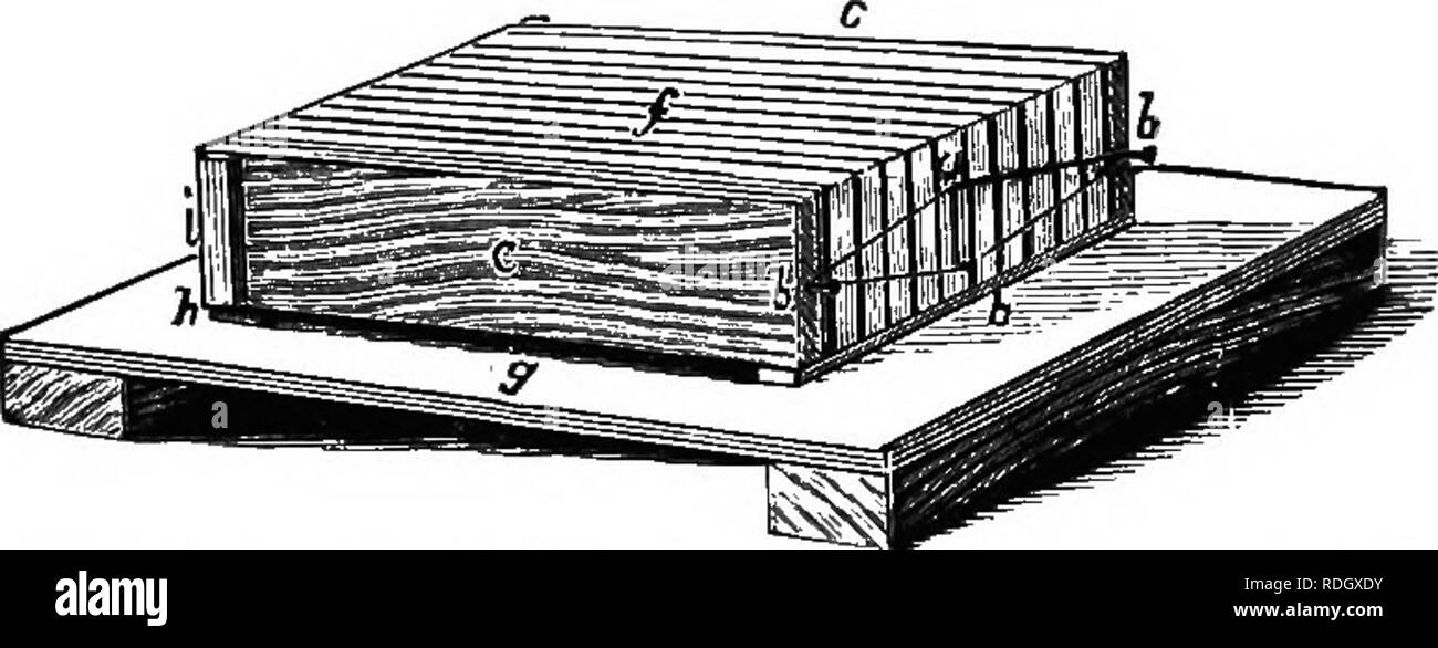 The Bee Keeper S Guide Or Manual Of The Apiary Bees Or