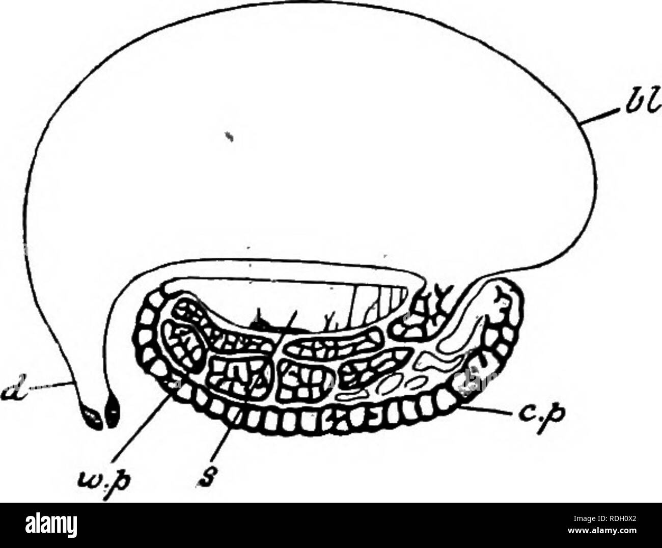 Nurnber Stock Photos Nurnber Stock Images Alamy - 