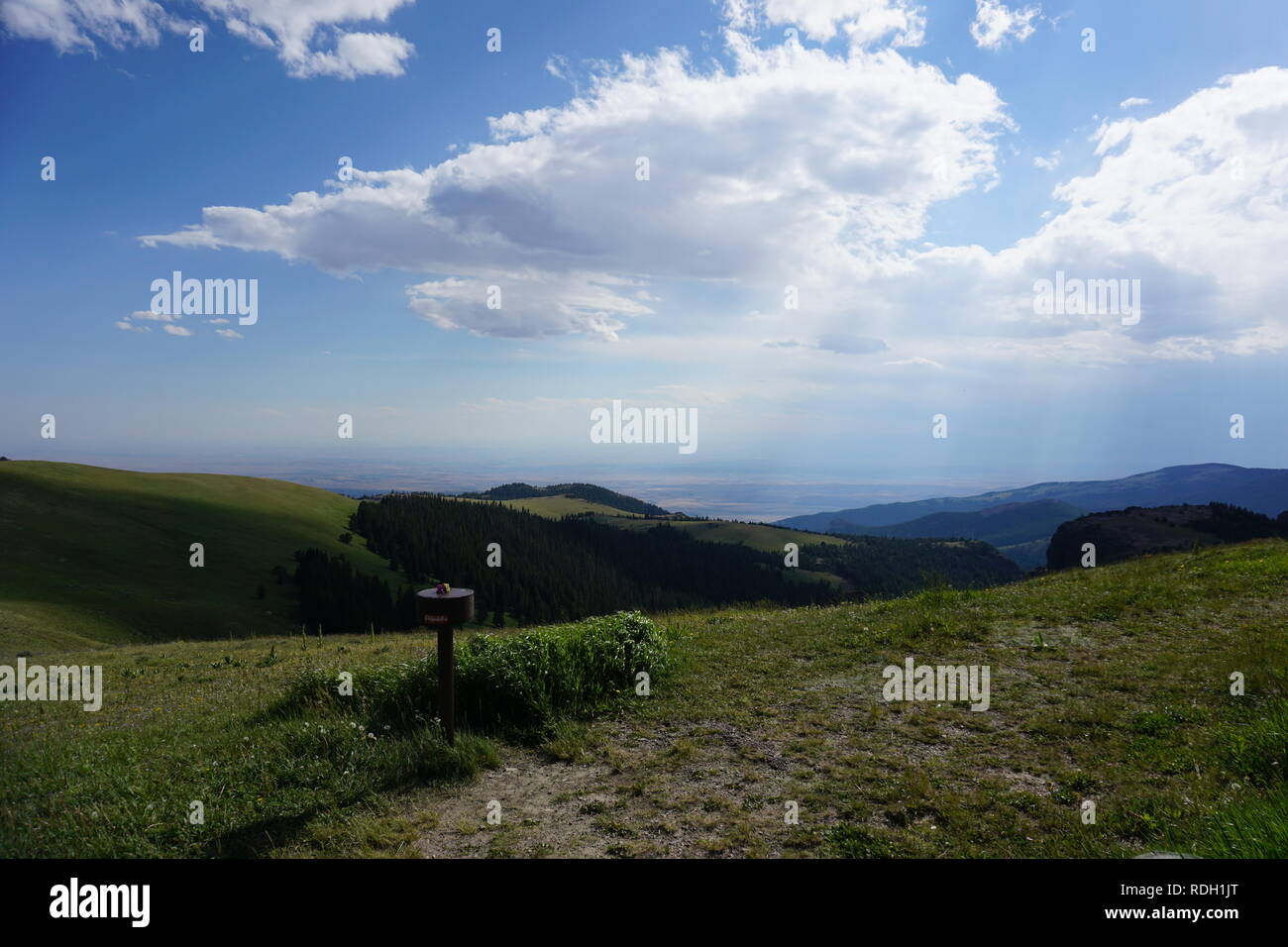 Rolling Hills and Grassland Stock Photo