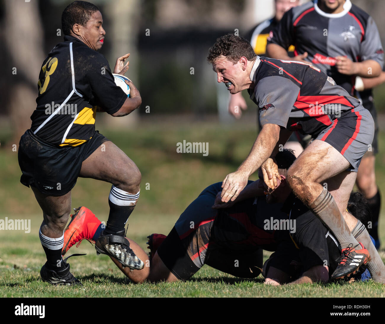 Teamwork in action rugby scrum hi-res stock photography and images - Alamy
