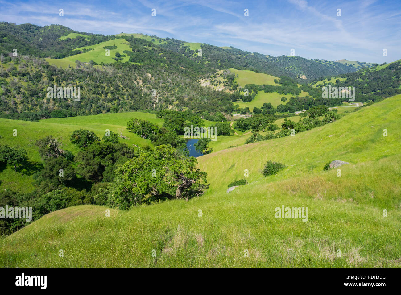 Verdant hills in Sunol Regional Wilderness, San Francisco bay area