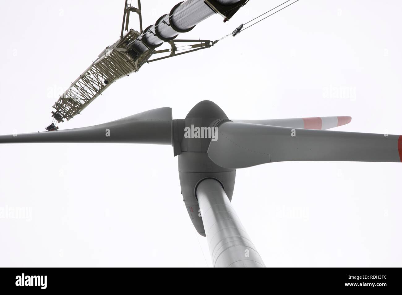 Installation of the rotor blades, setup of a wind turbine on a spoil