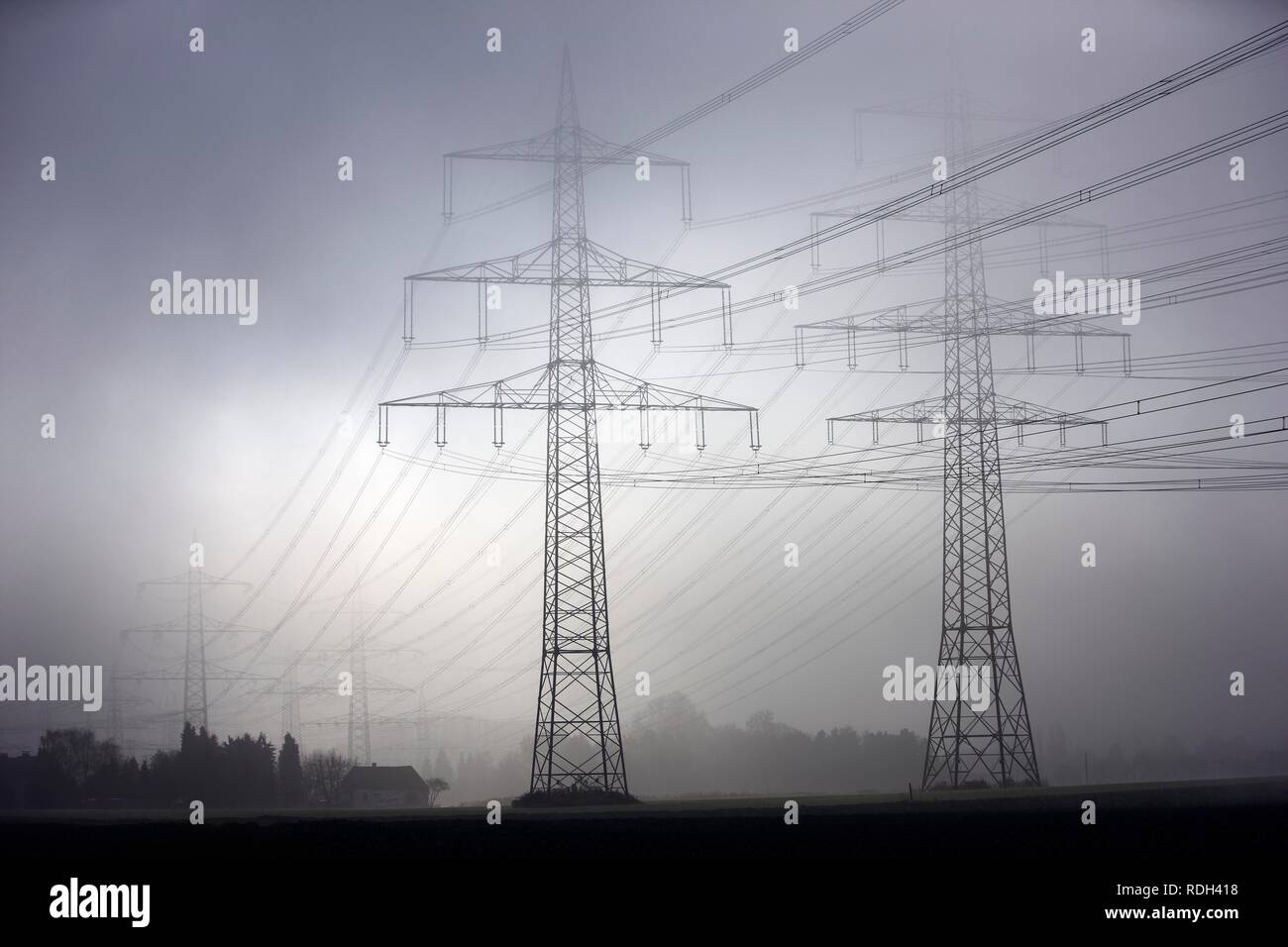 Electricity pylons and power lines in the autumn mist, Gelsenkirchen, North Rhine-Westphalia Stock Photo