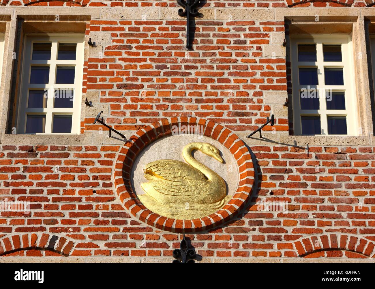 Golden Swan on a house facade, old town, Ghent, East Flanders, Belgium, Europe Stock Photo