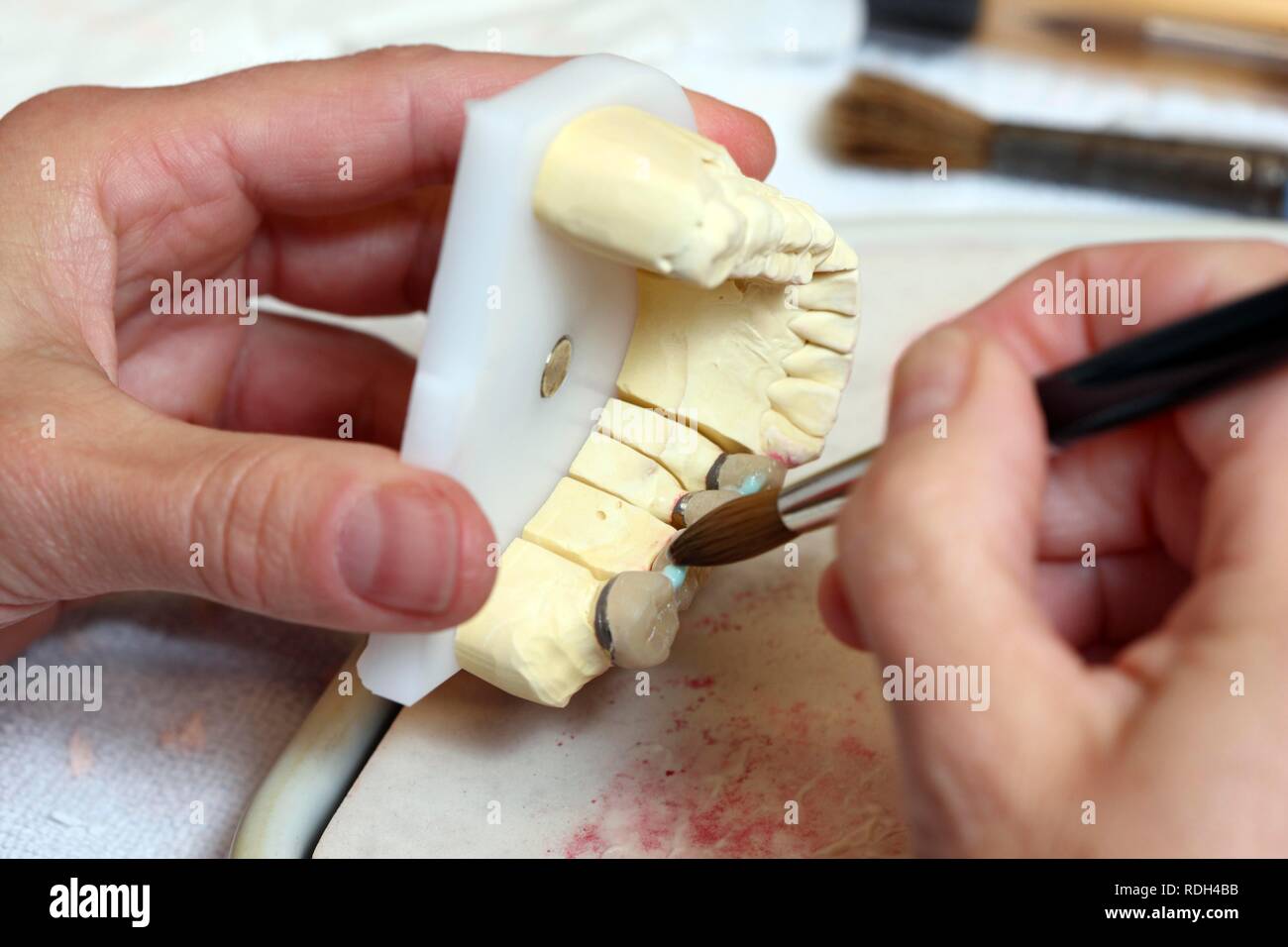 Dental laboratory, manufacture of a dental prostheses by a master craftsman, applying ceramic materials on a dental bridge Stock Photo