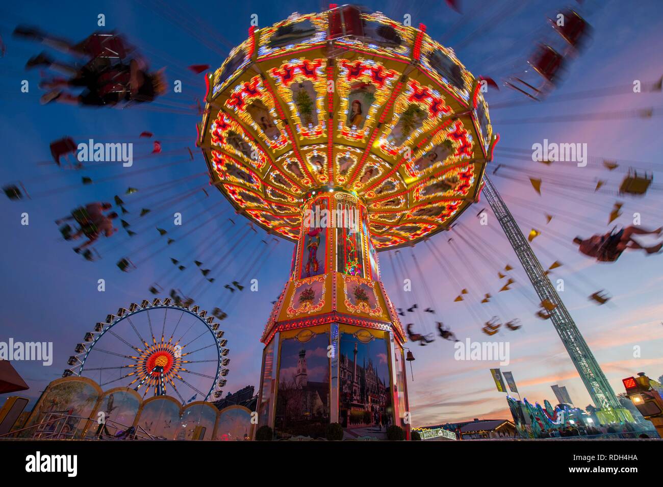 Rotating Chain Carousel And Ferris Wheel At The Blue Hour, Oktoberfest ...