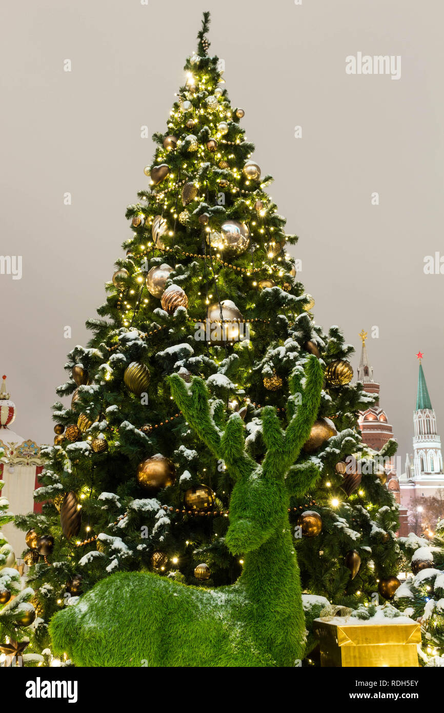 Deer from the grass on the background of a dressed Christmas tree on the evening of the holiday Stock Photo