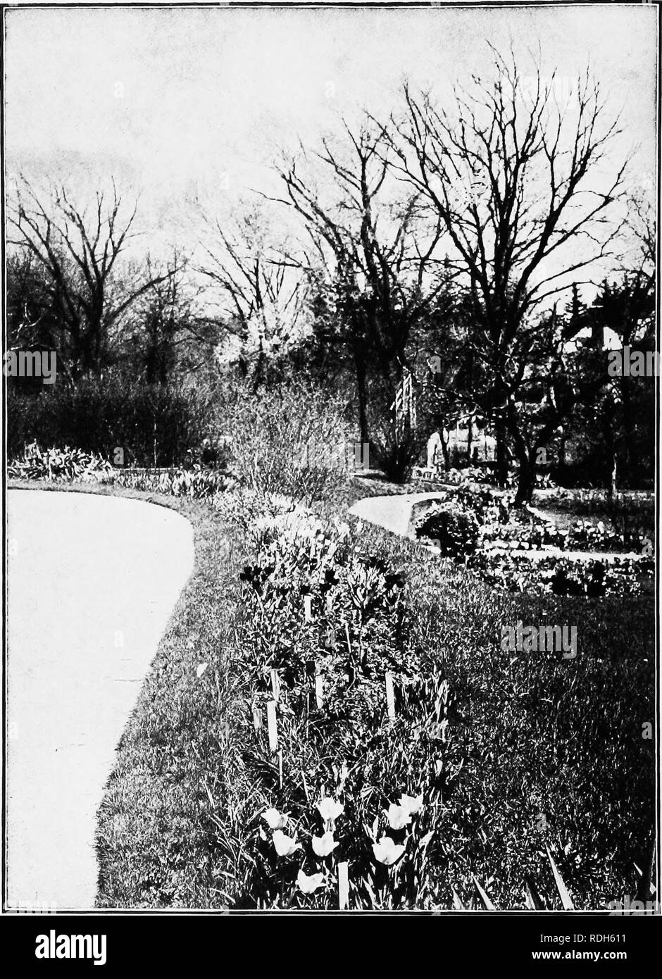 Perennials garden border Black and White Stock Photos & Images - Alamy