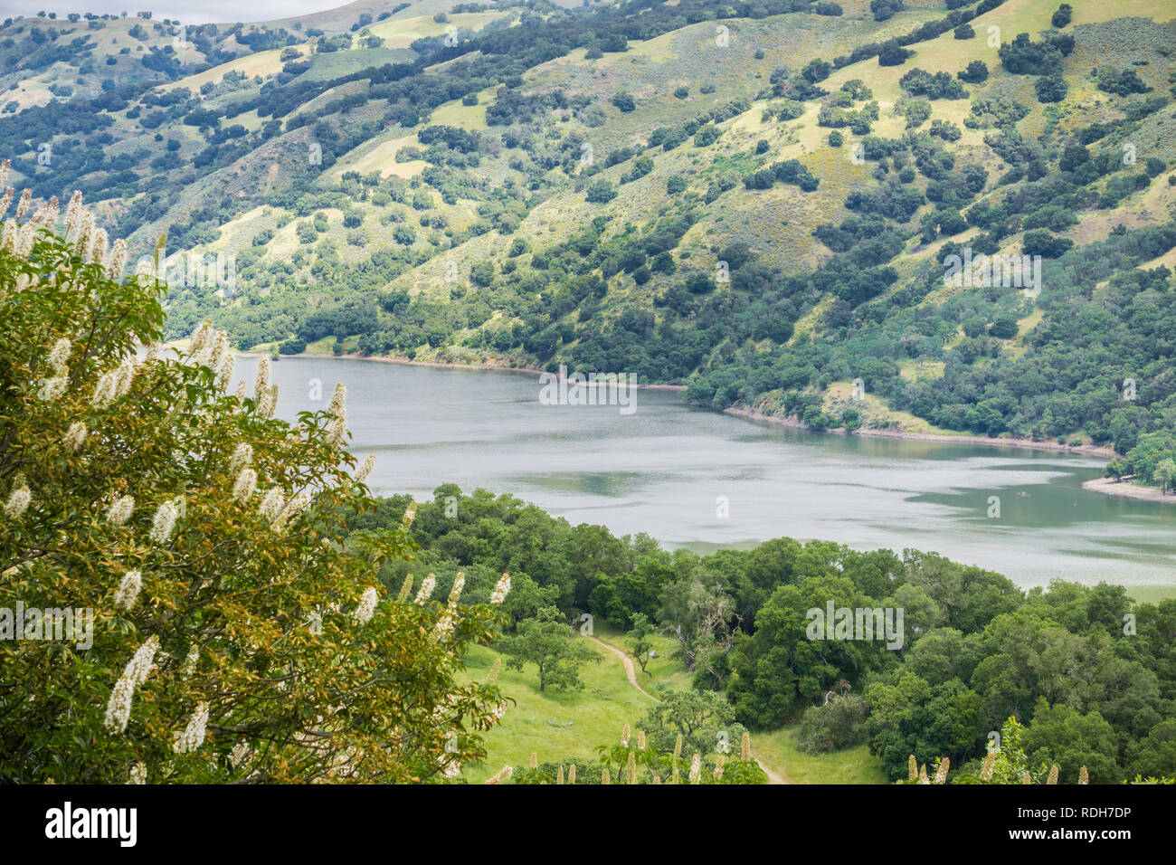 Coyote Lake, Coyote Lake Harvey Bear Ranch County Park, Gilroy, south