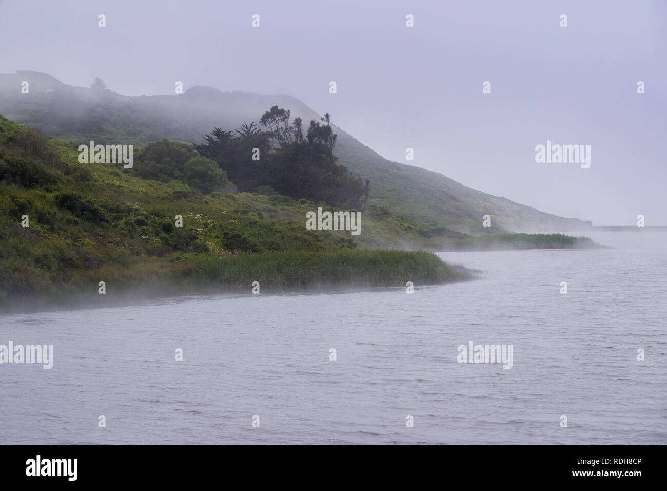 The shoreline of Rodeo Lagoon covered in fog, Marin Headlands State Park, San Francisco bay area