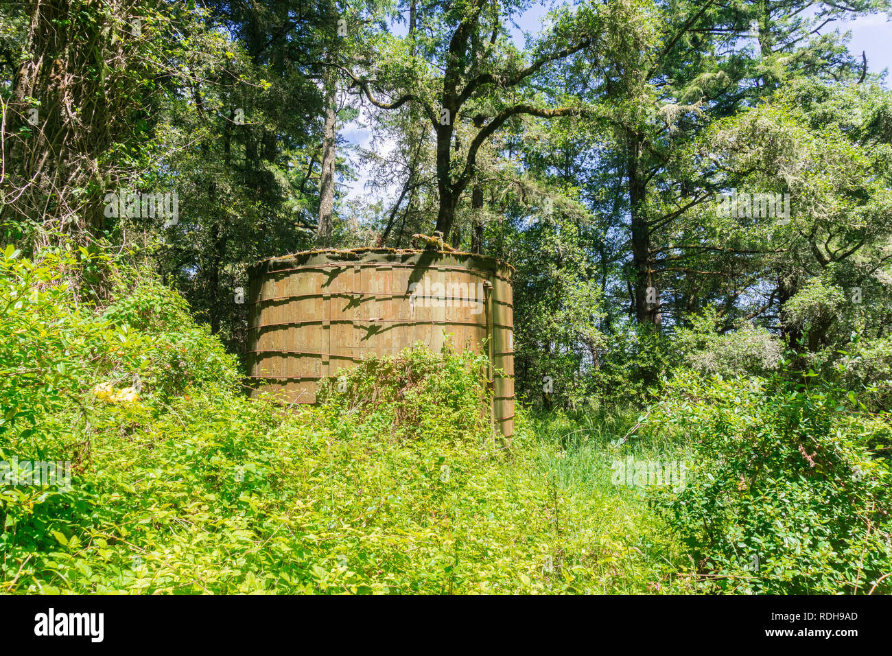 Old water tank in the forests of San Francisco bay area, California Stock Photo