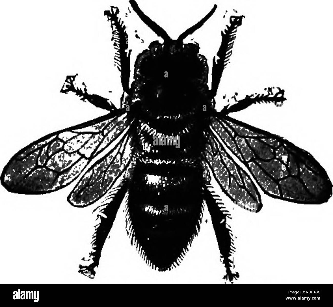 Once Upon A Time Cut Out Stock Images Pictures Alamy