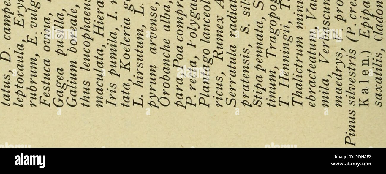 . Eesti Looduseuurijate Seltsi aastaraamat. Natural history. 20 o X aj M O H O o B I&quot; oo 0 â¢ â¢Â« O O . PQ Ã¶ O * o o 5 H ^ B tr ^ ^ a o r o s B O c_ y Cl. Â£ Q ZÂ£ ^ .~ Â« ca B ^ cÃ¶ ao ee a o 40 Sor S CW^o^ m H O Cv, fH Â© Â® 03 o WC w Q H O 03 Ph es w tr s B B EH Â» â¢ ^Â» . &quot;* *&gt; ^ v Â» Â§,Â£ .0 ^ tO^o ~*0 Â© e 55 Â» &lt;8 Â« S ^ e ^5 Â«o Â§tÃ¼ 2 CJ ^ Â«o 2^ r.S3Â»^;S^^I^*8 -5 g /o Â© &gt; 5 eo ^ -Â«V^ eo K&gt; - eo - to â¢53 i&quot;l &quot;S.3. (g ^- Ulu C s S ^ X s .eo co I k&gt; ^ Â« S Â« S ^ k eo 5 5 Vj iio^ ^ S^, ^ B â¢jq aj o3vÂ§Â« S Â° B H * g O H re? oÃ¶ O .2 b Å P o  Stock Photo