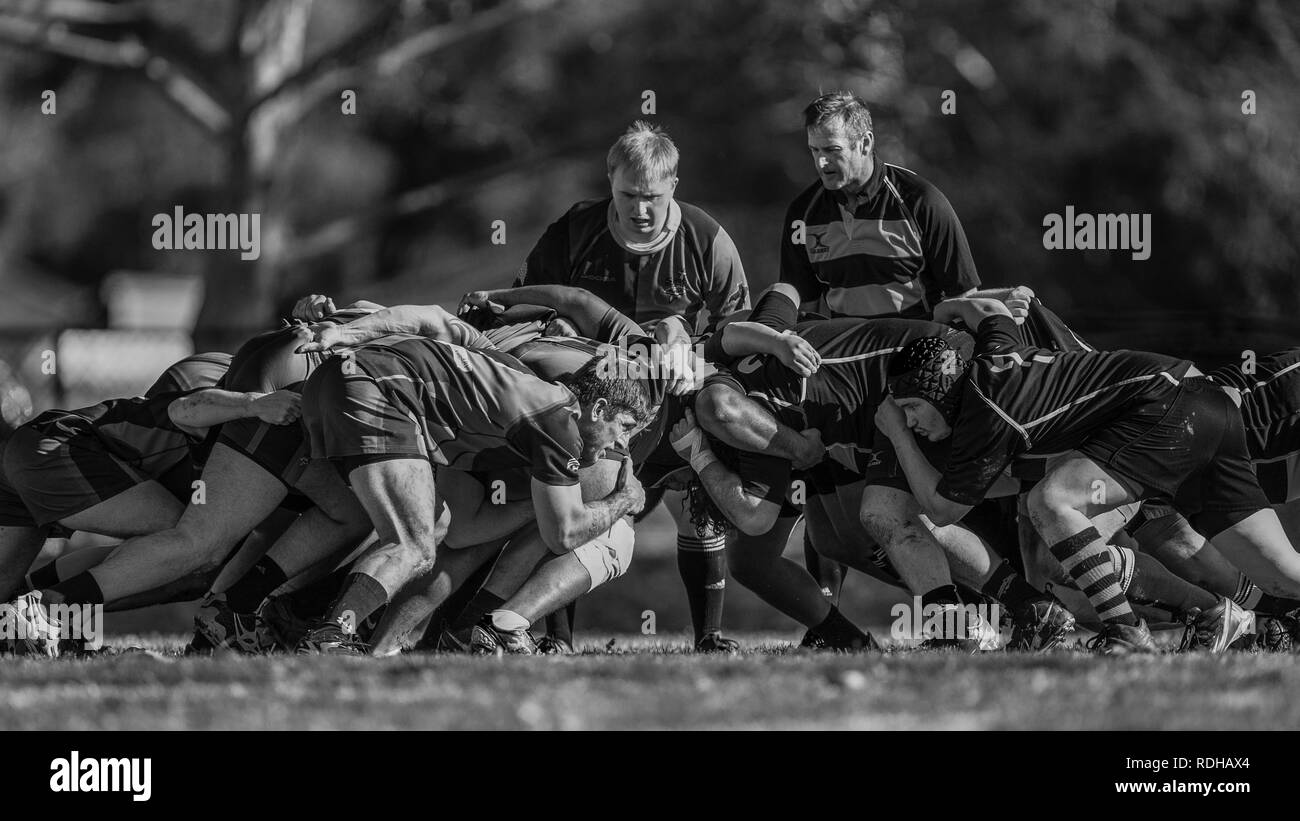 Rugby action with Shasta vs. Reno in Redding, California. Stock Photo