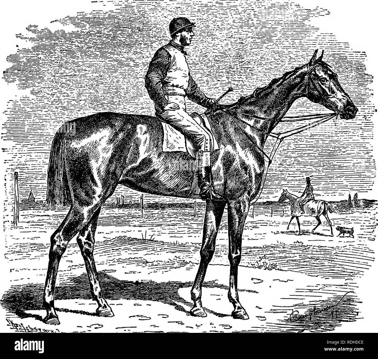 Horse Stealing Stock Photos & Horse Stealing Stock Images Alamy