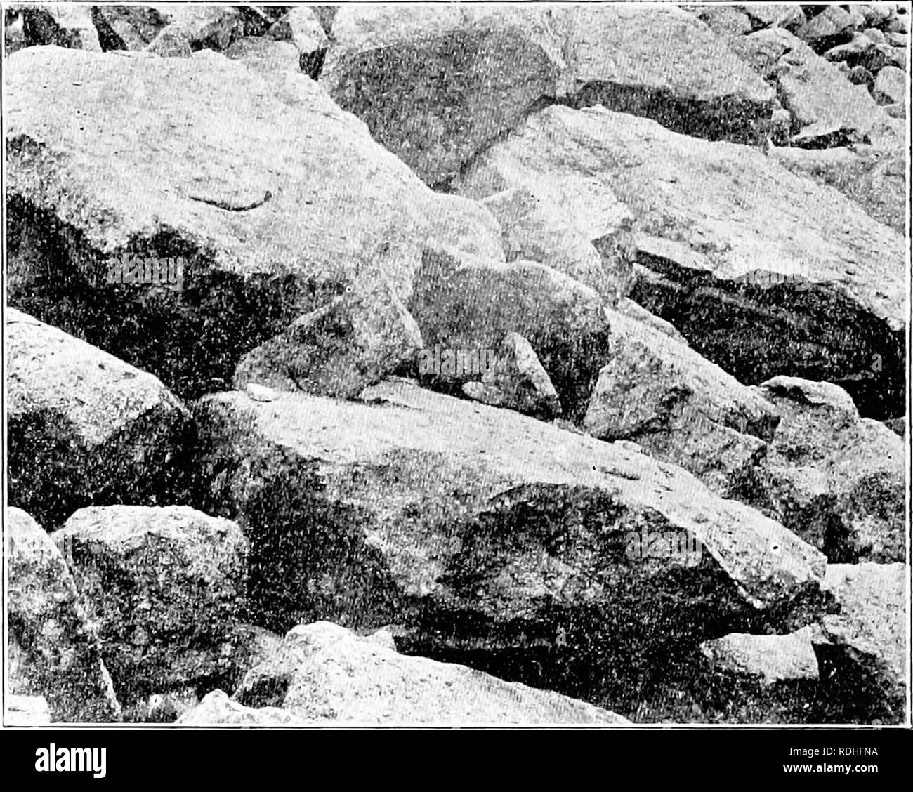 . Research methods in ecology. Plant ecology. 244 THE FORMATION 295 ...