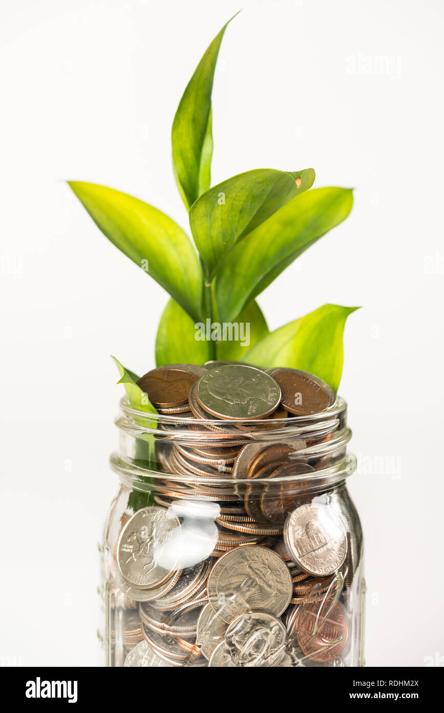 Growing plant from a jar full of coins Stock Photo