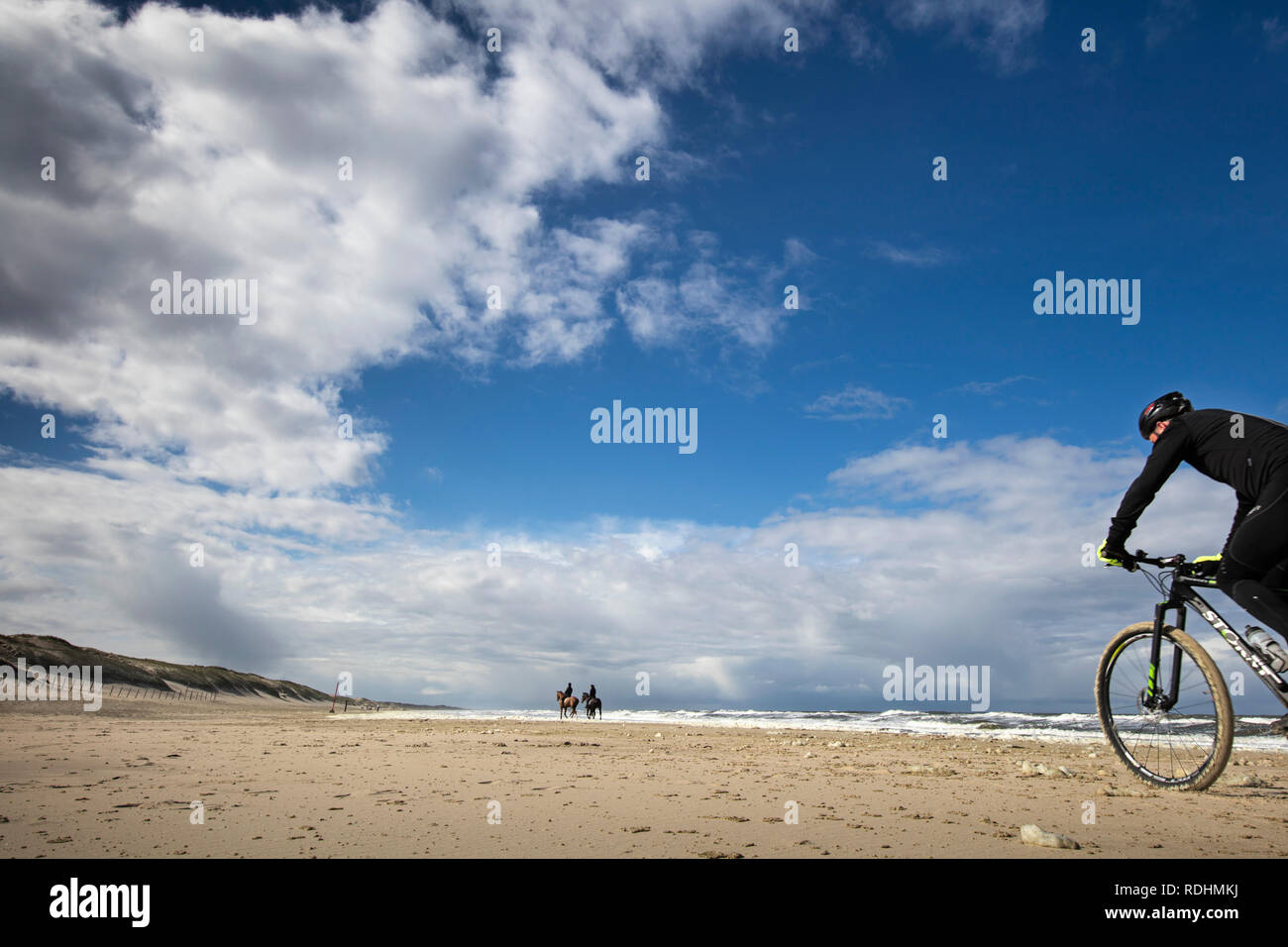 Beach of North Sea. Women riding horses, man on ATB bicycle. Groote Keten, The Netherlands. Stock Photo