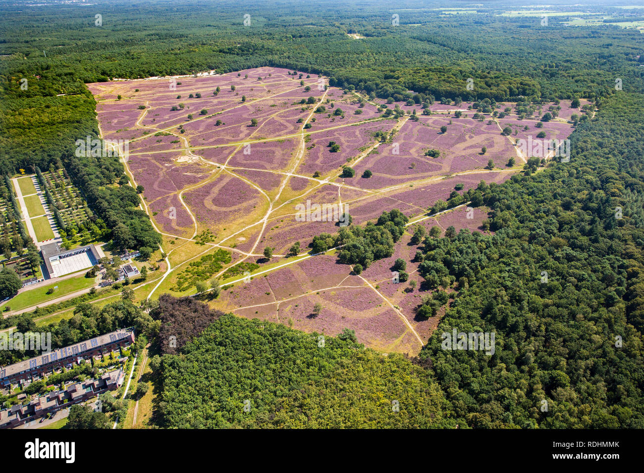 The Netherlands, Hilversum, Flowering heather. Aerial. Stock Photo
