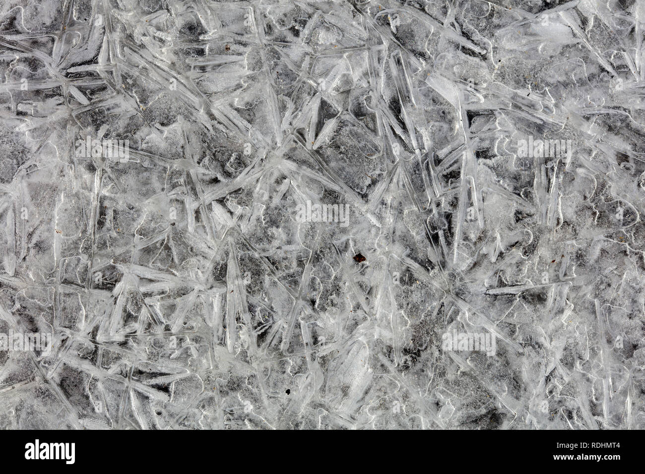 The Netherlands, Naarden. Close-ups of ice shapes. Winter. Frost. Stock Photo