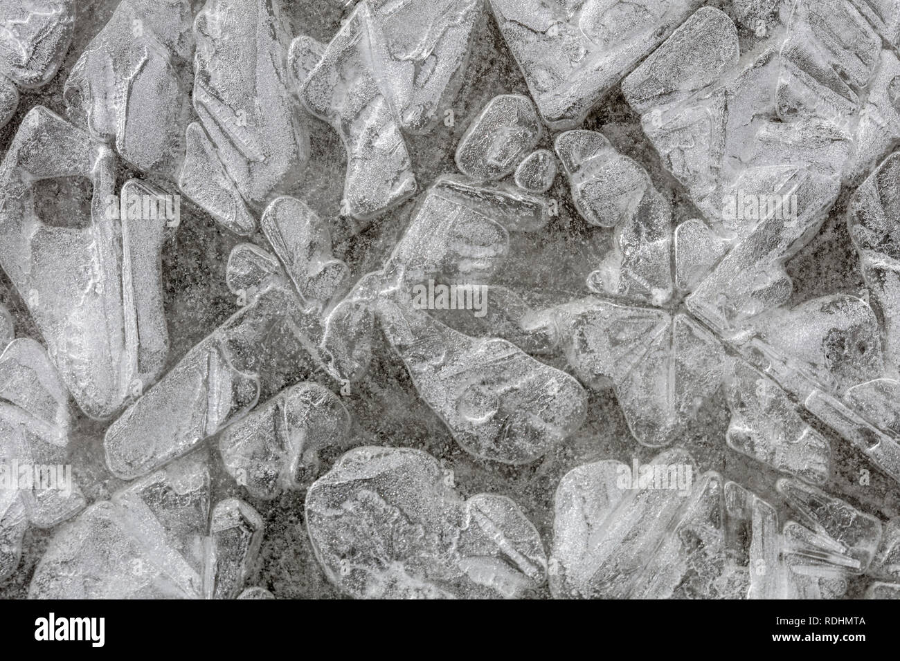 The Netherlands, Naarden. Close-ups of ice shapes. Winter. Frost. Stock Photo