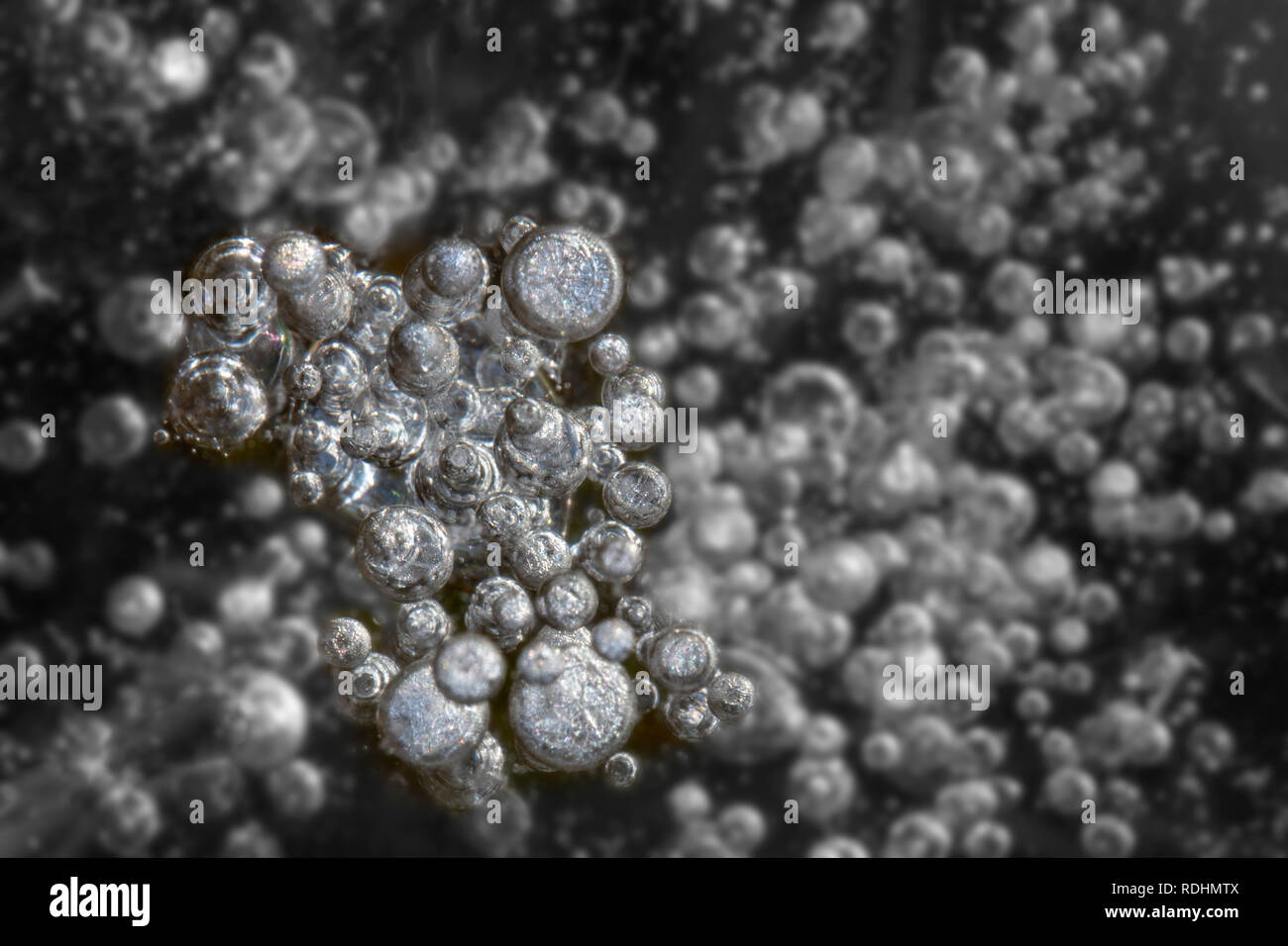 The Netherlands, Naarden. Close-ups of ice shapes. Winter. Frost. Stock Photo
