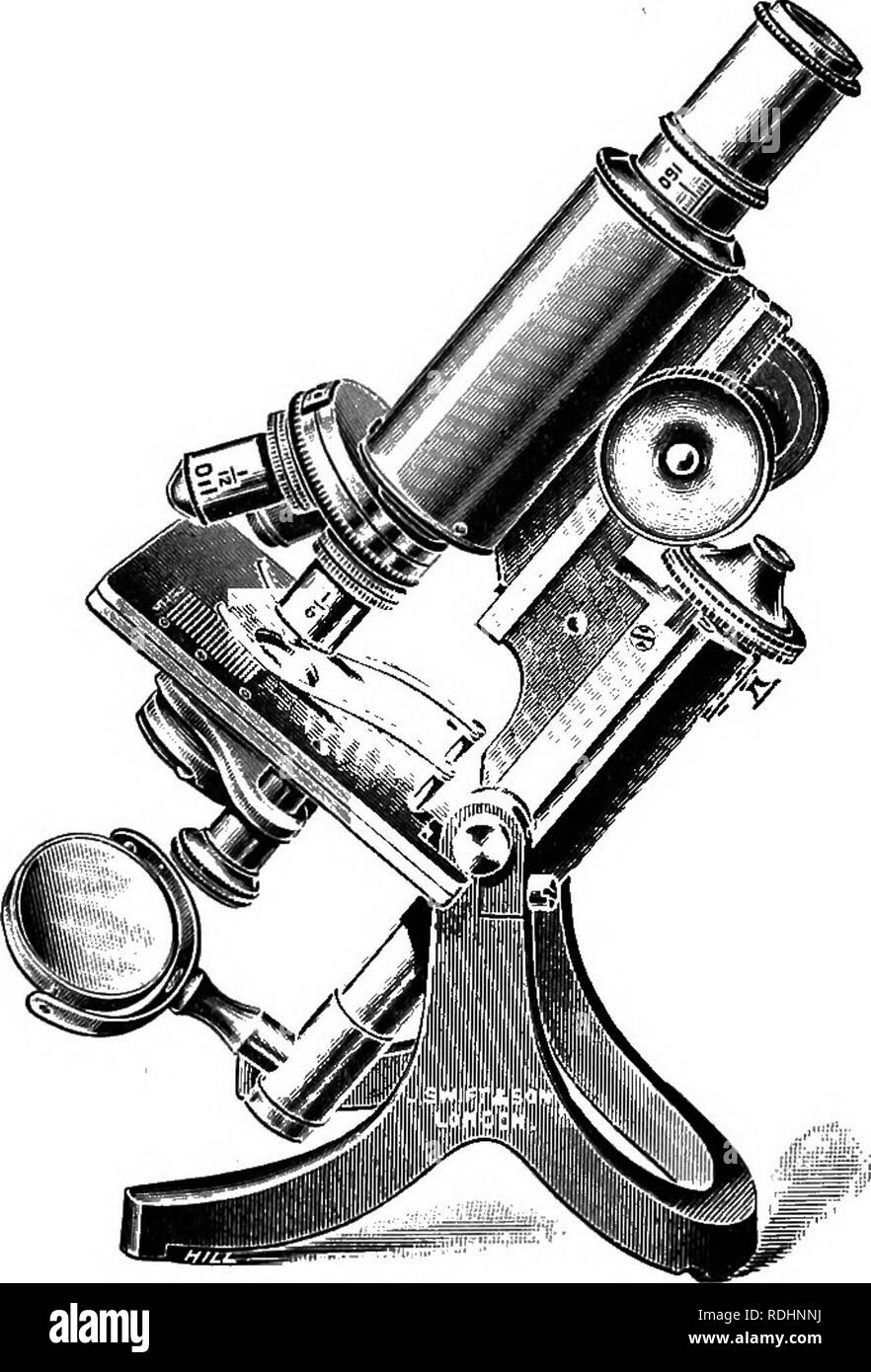 Oil immersion Cut Out Stock Images & Pictures Alamy