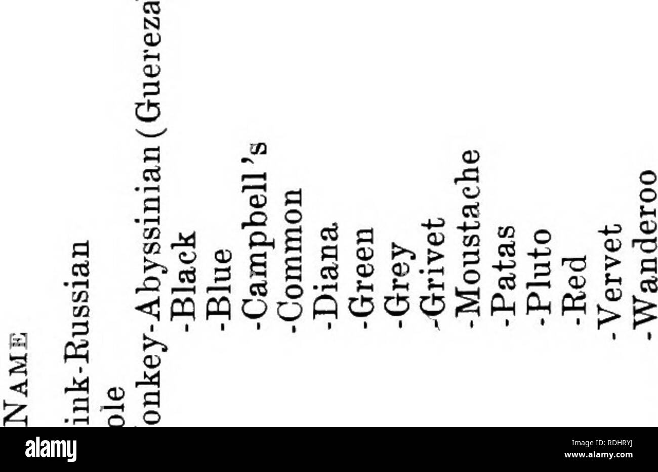 The Fur Traders And Fur Bearing Animals Fur Trade Fur Bearing Animals Alphabetical List Of Species 107 M Cbin 3 2 2 Mca2b A Gt 6 Quot Gt 3 Taeiij3 A3c8 Me T3 E S Ffi S 8 S G S 3 The Fur Traders And Fur Bearing Animals Fur Trade Fur Bearing Animals Alphabetical List Of Species 107 M Cbin 3 2 2 Mca2b A Gt 6 Quot Gt 3 Taeiij3 A3c8 Me T3 E S Ffi S 8 S G S 3