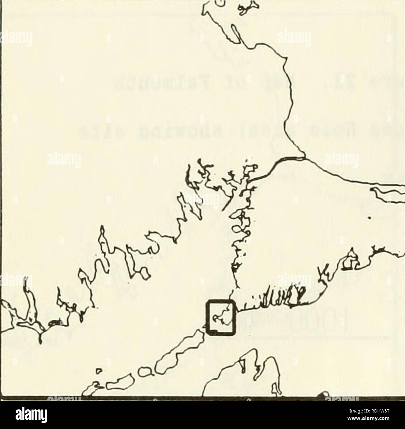. Eelgrass in Buzzards Bay : distributation, production, and historical changes in abundance. Zostera marina; Seagrasses -- Massachusetts Buzzards Bay (Bay). 179. Figure 24. Map of Falmouth (Woods Hole area) showing eelgrass beds. 1000 m. Please note that these images are extracted from scanned page images that may have been digitally enhanced for readability - coloration and appearance of these illustrations may not perfectly resemble the original work.. Costa, Joseph Edward, 1958-; United States. Environmental Protection Agency; Buzzards Bay Project (Mass. ). Washington, D. C. : United State Stock Photo