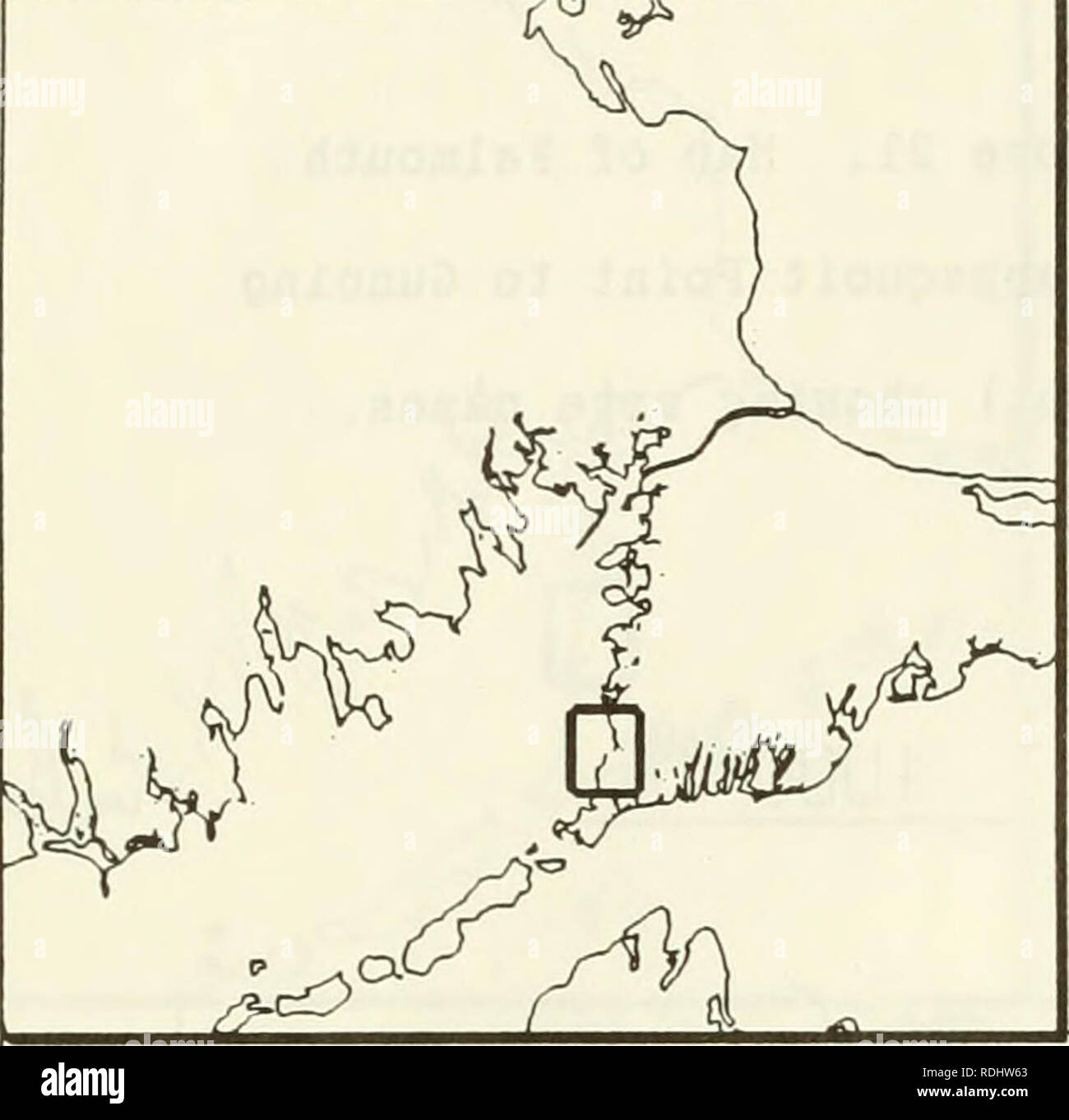 . Eelgrass in Buzzards Bay : distributation, production, and historical changes in abundance. Zostera marina; Seagrasses -- Massachusetts Buzzards Bay (Bay). 177. Figure 22. Map of Falmouth (Chappaquoit Point to Gunning Point) showing eelgrass beds. 1000 m. Please note that these images are extracted from scanned page images that may have been digitally enhanced for readability - coloration and appearance of these illustrations may not perfectly resemble the original work.. Costa, Joseph Edward, 1958-; United States. Environmental Protection Agency; Buzzards Bay Project (Mass. ). Washington, D Stock Photo