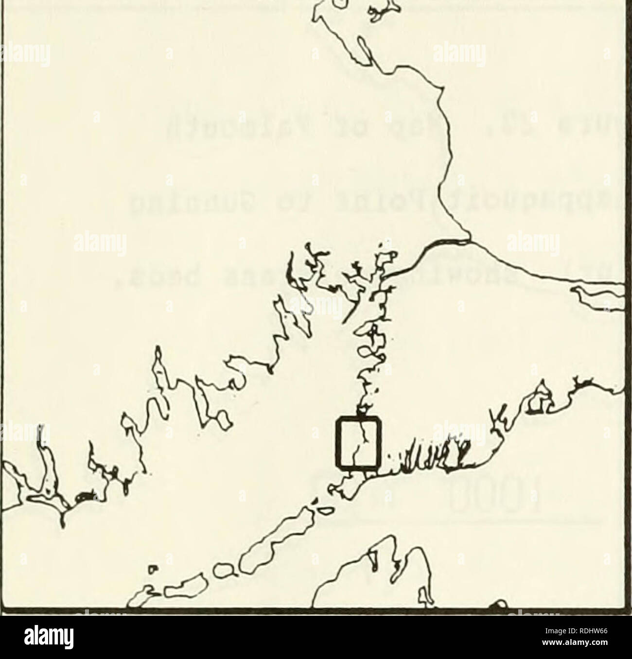 . Eelgrass in Buzzards Bay : distributation, production, and historical changes in abundance. Zostera marina; Seagrasses -- Massachusetts Buzzards Bay (Bay). 176. Figure 21. Map of Falmouth (Chappaquoit Point to Gunning Point) showing site names. 1000 m Ouahog Pond. Please note that these images are extracted from scanned page images that may have been digitally enhanced for readability - coloration and appearance of these illustrations may not perfectly resemble the original work.. Costa, Joseph Edward, 1958-; United States. Environmental Protection Agency; Buzzards Bay Project (Mass. ). Wash Stock Photo