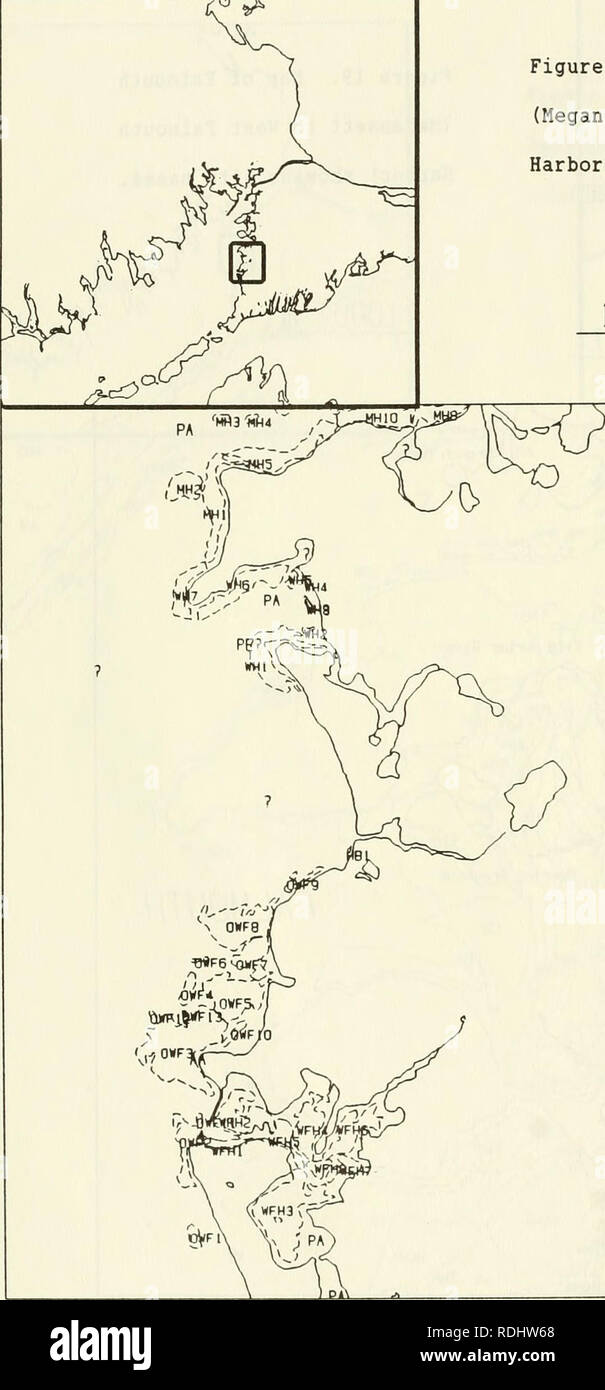 . Eelgrass in Buzzards Bay : distributation, production, and historical changes in abundance. Zostera marina; Seagrasses -- Massachusetts Buzzards Bay (Bay). 175. Figure 20. Map of Falmouth (Megansett to West Falmouth Harbor) showing eelgrass beds. 1000 m MAP COORDINATES 361 367 606 612. Please note that these images are extracted from scanned page images that may have been digitally enhanced for readability - coloration and appearance of these illustrations may not perfectly resemble the original work.. Costa, Joseph Edward, 1958-; United States. Environmental Protection Agency; Buzzards Bay  Stock Photo