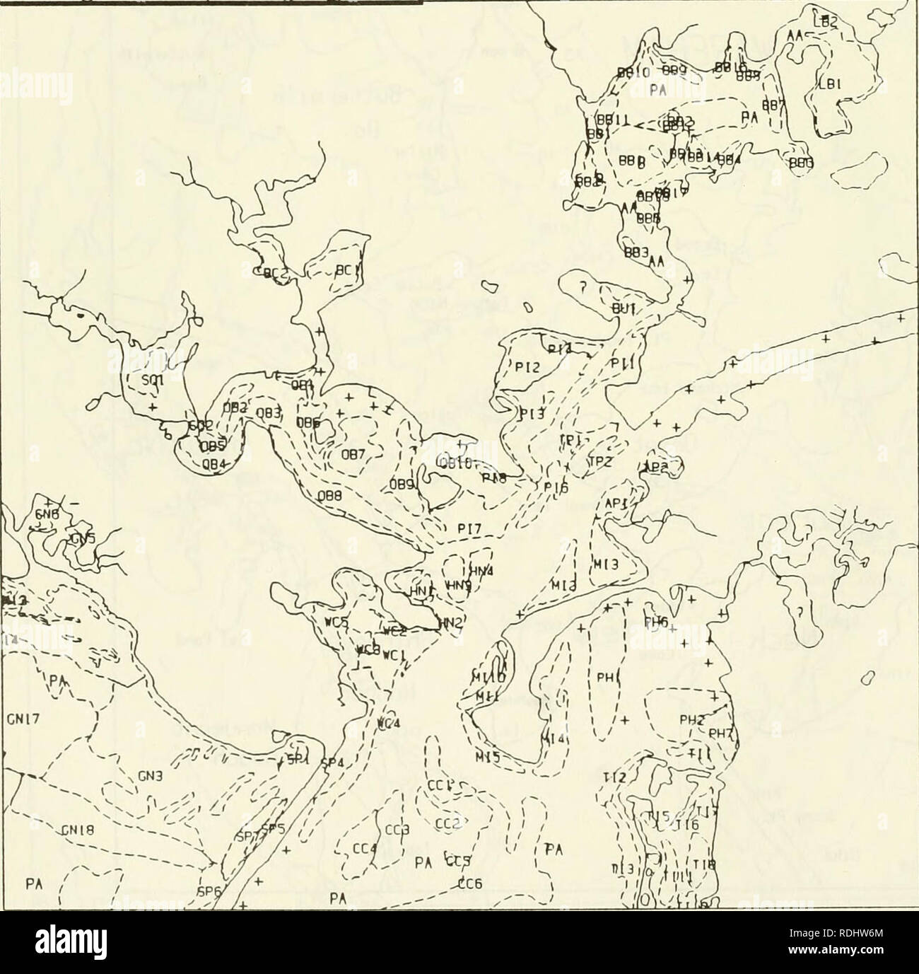 . Eelgrass in Buzzards Bay : distributation, production, and historical changes in abundance. Zostera marina; Seagrasses -- Massachusetts Buzzards Bay (Bay). Figure 16. Map of Great Neck, Wareham to Pocasset, Bourne showing eelgrass beds. 1000 m lpi^-%,^&gt;'lists' v. MAP COORDINATES 360 367 618 625. Please note that these images are extracted from scanned page images that may have been digitally enhanced for readability - coloration and appearance of these illustrations may not perfectly resemble the original work.. Costa, Joseph Edward, 1958-; United States. Environmental Protection Agency;  Stock Photo