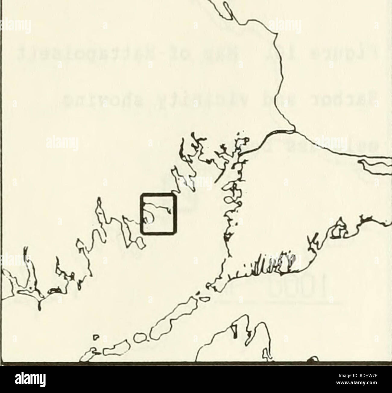 . Eelgrass in Buzzards Bay : distributation, production, and historical changes in abundance. Zostera marina; Seagrasses -- Massachusetts Buzzards Bay (Bay). 164 i;^ ^. Figure 9. Map of Mattapoisett Harbor and vicinity showing site names. 1000 m MATTAPOISETT. Please note that these images are extracted from scanned page images that may have been digitally enhanced for readability - coloration and appearance of these illustrations may not perfectly resemble the original work.. Costa, Joseph Edward, 1958-; United States. Environmental Protection Agency; Buzzards Bay Project (Mass. ). Washington, Stock Photo