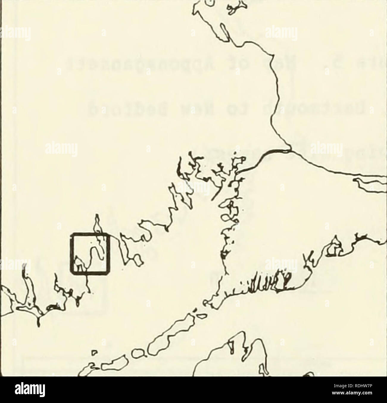 . Eelgrass in Buzzards Bay : distributation, production, and historical changes in abundance. Zostera marina; Seagrasses -- Massachusetts Buzzards Bay (Bay). 161. A^ Figure 6. Map of Apponagansett Bay, Dartmouth to New Bedford showing eelgrass beds. lOOG m. Please note that these images are extracted from scanned page images that may have been digitally enhanced for readability - coloration and appearance of these illustrations may not perfectly resemble the original work.. Costa, Joseph Edward, 1958-; United States. Environmental Protection Agency; Buzzards Bay Project (Mass. ). Washington, D Stock Photo