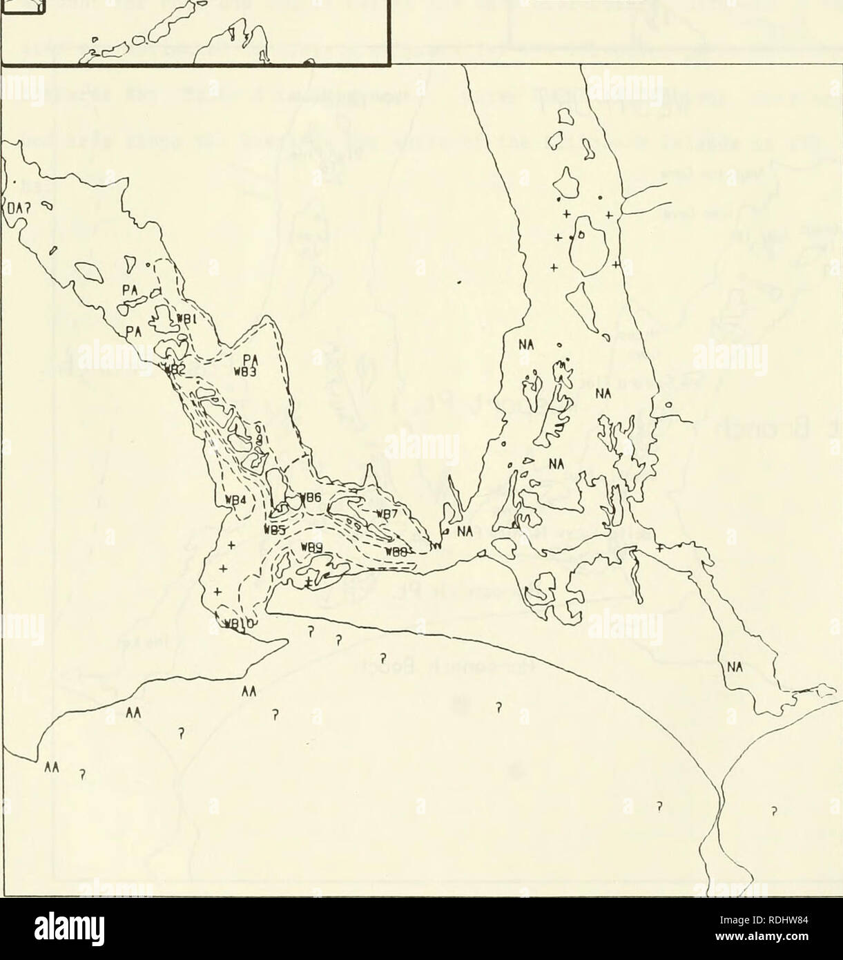 . Eelgrass in Buzzards Bay : distributation, production, and historical changes in abundance. Zostera marina; Seagrasses -- Massachusetts Buzzards Bay (Bay). LjiMy Figure 2. Map of Westport showing eelgrass beds. 1000 m. MAP COORDINATES - 323 331 594.5 602.5. Please note that these images are extracted from scanned page images that may have been digitally enhanced for readability - coloration and appearance of these illustrations may not perfectly resemble the original work.. Costa, Joseph Edward, 1958-; United States. Environmental Protection Agency; Buzzards Bay Project (Mass. ). Washington, Stock Photo