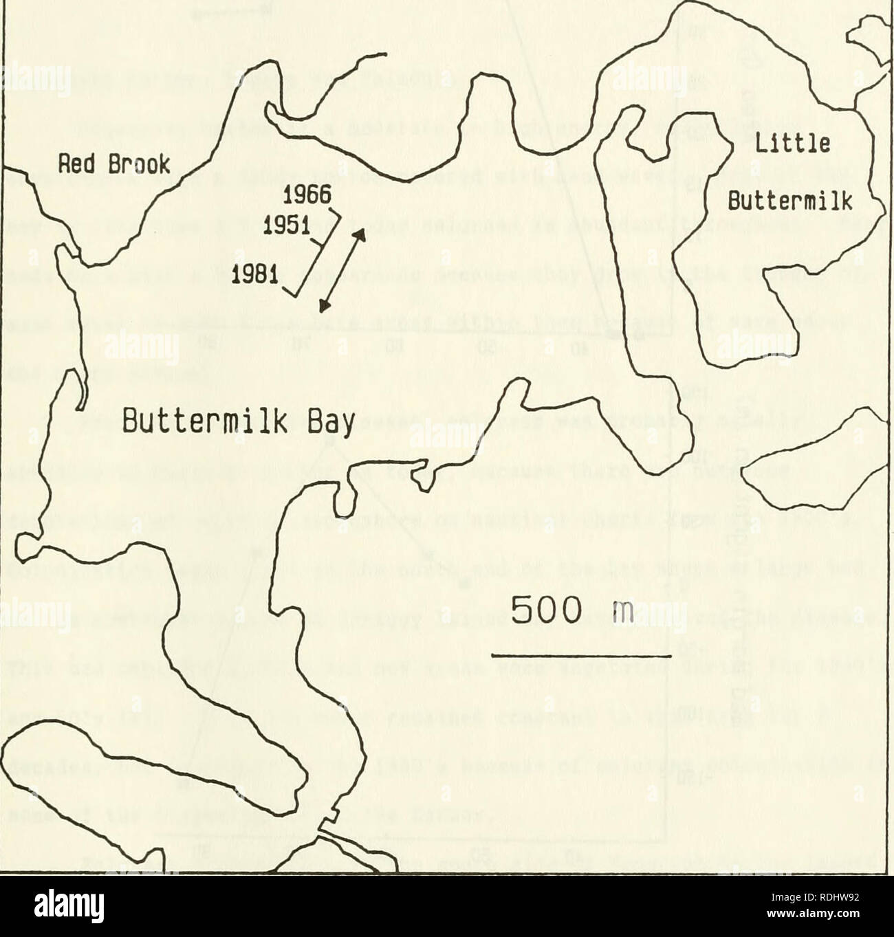 . Eelgrass in Buzzards Bay : distributation, production, and historical changes in abundance. Zostera marina; Seagrasses -- Massachusetts Buzzards Bay (Bay). 100. Figure 14. Relative migration (T) of a bed boundary in central Buttermilk Bay. The central part of the Buttermilk Bay is very shallow, therefore progression of the bed to the northeast (north at top) indicates growth in deeper water. Compare to Fig. 15, bottom.. Please note that these images are extracted from scanned page images that may have been digitally enhanced for readability - coloration and appearance of these illustrations  Stock Photo