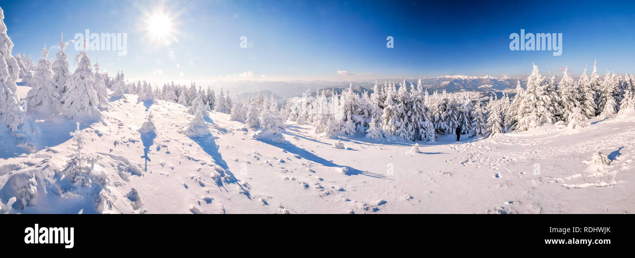 Scenic panorama of idyllic snowy winter in mountains of Slovakia. Stock Photo