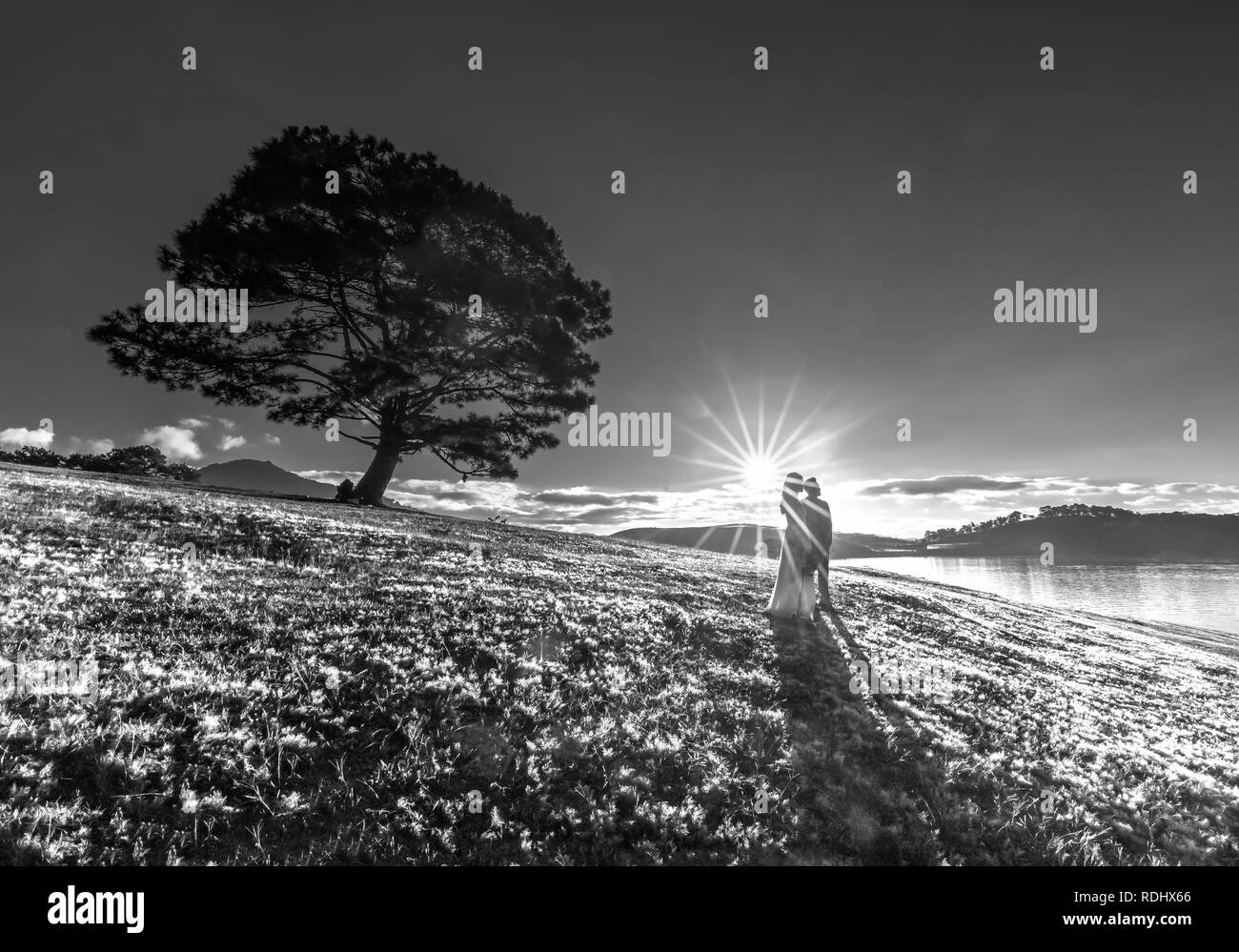 Silhouette of happy lovers together to welcome the dawn on the pink grass in the romantic