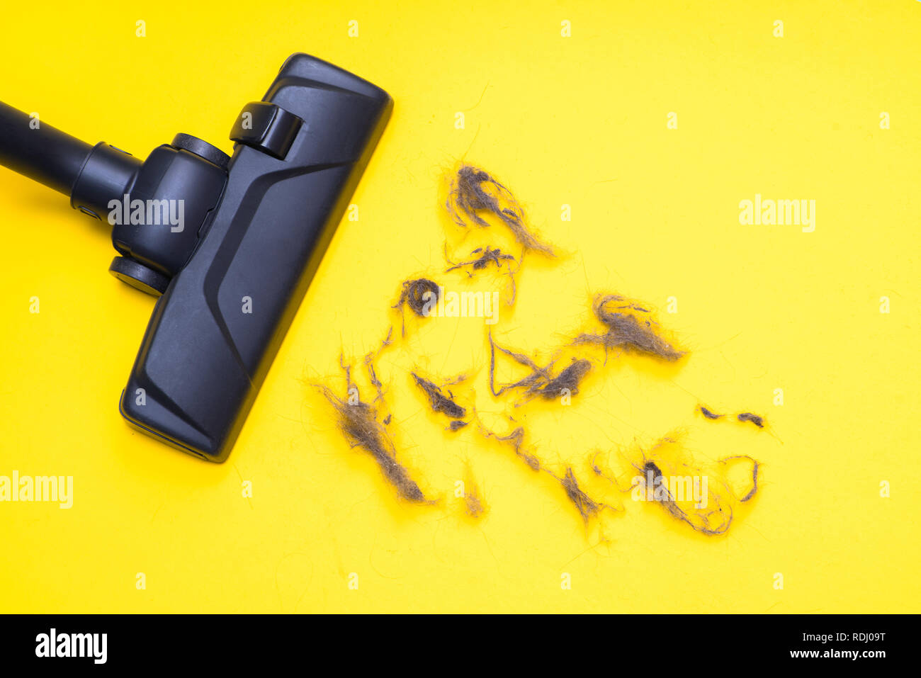 Dark head of a modern vacuum cleaner being used while vacuuming the