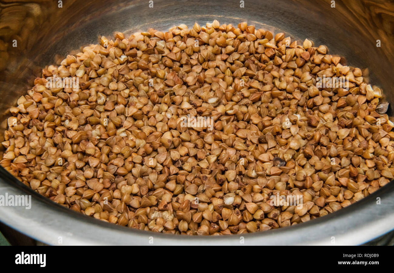 Roasted buckwheat seeds. Gluten free ancient grain for healthy diet