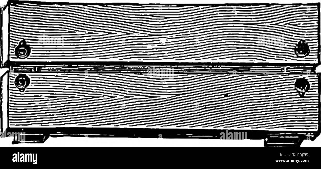 Covered With Flies Black And White Stock Photos Images Alamy Covered With Flies Black And White Stock Photos Images Alamy