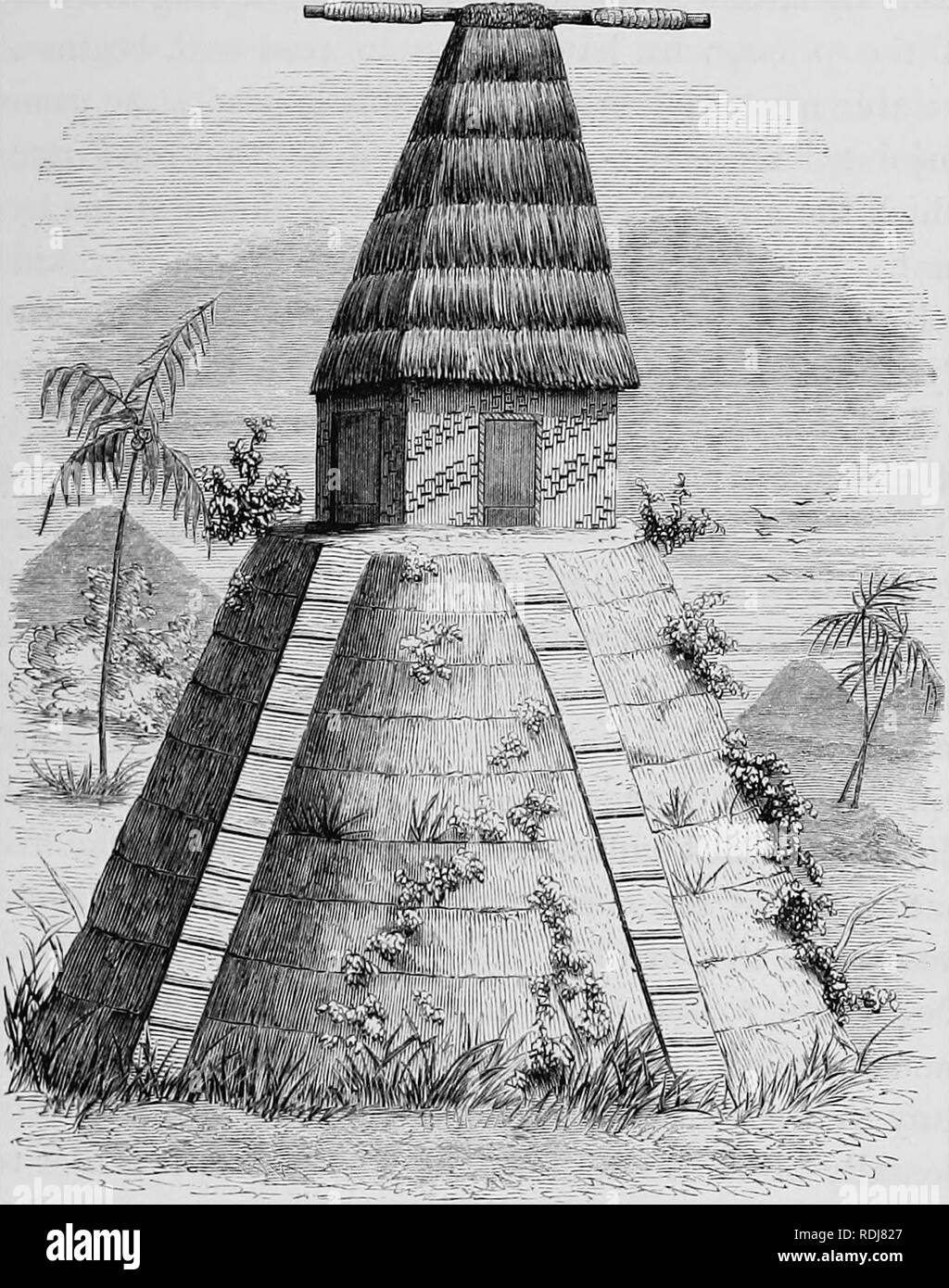 . Viti: an account of a government mission to the Vitian or Fijian Islands, in the years 1860-61. Botany. TEMPLES. 393 terraced mounds also in Eastern Polynesia, with which Fiji and all other groups of the South Sea share the principal features of religious belief.. FIJIAN TEMPLE (BUEE KALOu). There is in most of them a shrine, where the god is supposed to descend when holding communication with the priests, and there is also a long piece of native cloth. Please note that these images are extracted from scanned page images that may have been digitally enhanced for readability - coloration and  Stock Photo