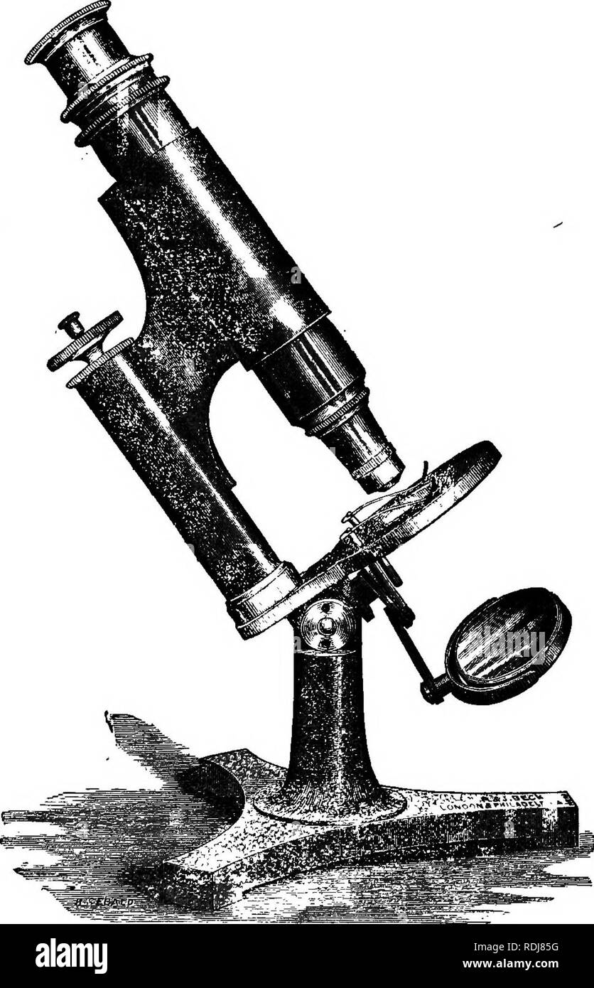 The Elements Of Botany Embracing Organography Histology Vegetable Physiology Systematic Botany And Economic Botany Together With A Complete Glossary Of Botanical Terms Botany Quot So 342 One Kalf Aciuai Size The Scholars